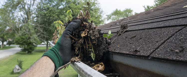 Welby, CO Gutter Installation, Repair & Cleaning